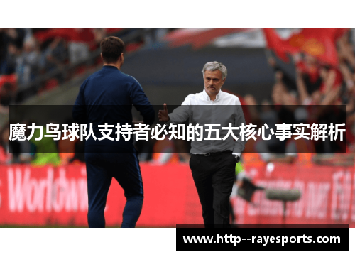 魔力鸟球队支持者必知的五大核心事实解析 魔力鸟球队支持者必知的五大核心事实解析