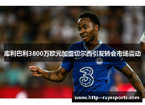 库利巴利3800万欧元加盟切尔西引发转会市场震动